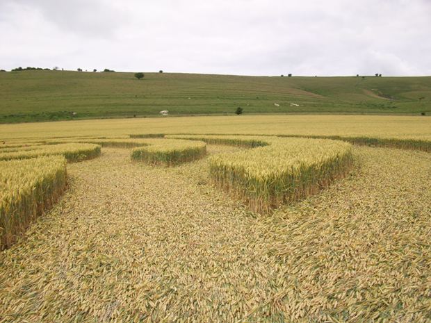 Milk Hill, Wiltshire crop circle, aerial photo 64