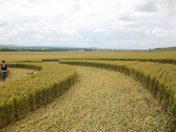 Milk Hill, Wiltshire crop circle, aerial photo 62