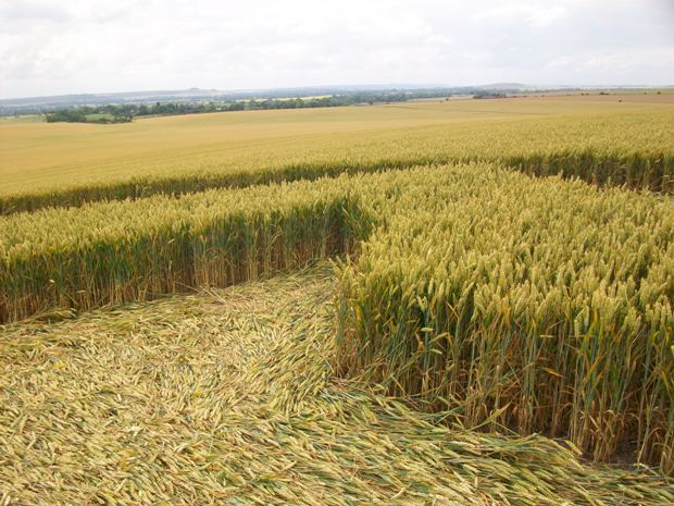 Milk Hill, Wiltshire crop circle, aerial photo 60