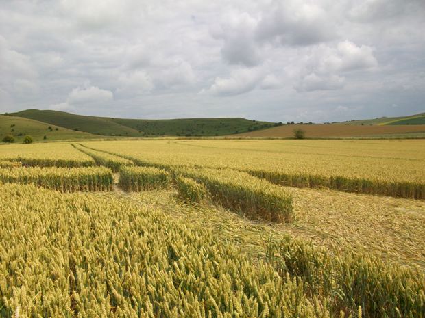 Milk Hill, Wiltshire crop circle, aerial photo 66