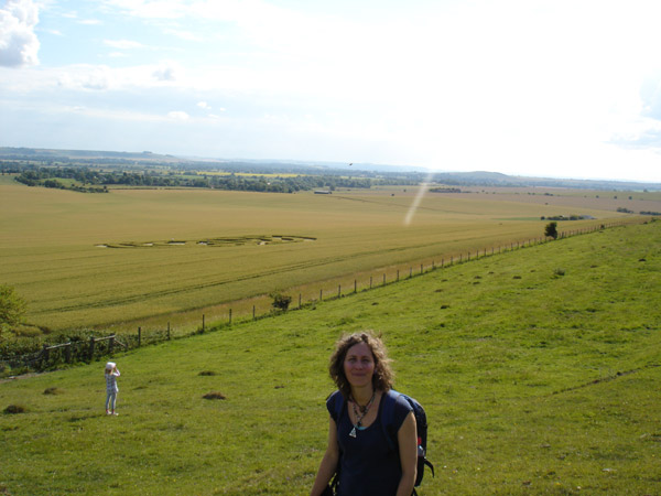 Milk Hill, Wiltshire crop circle, aerial photo 24