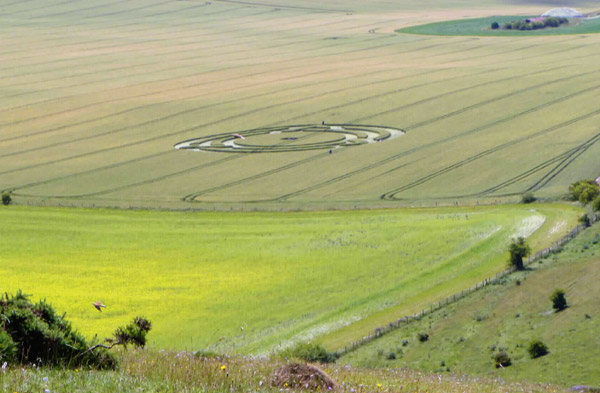 Milk Hill, Wiltshire crop circle, aerial photo 46