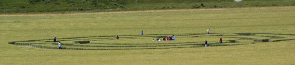 Milk Hill, Wiltshire crop circle, aerial photo 47