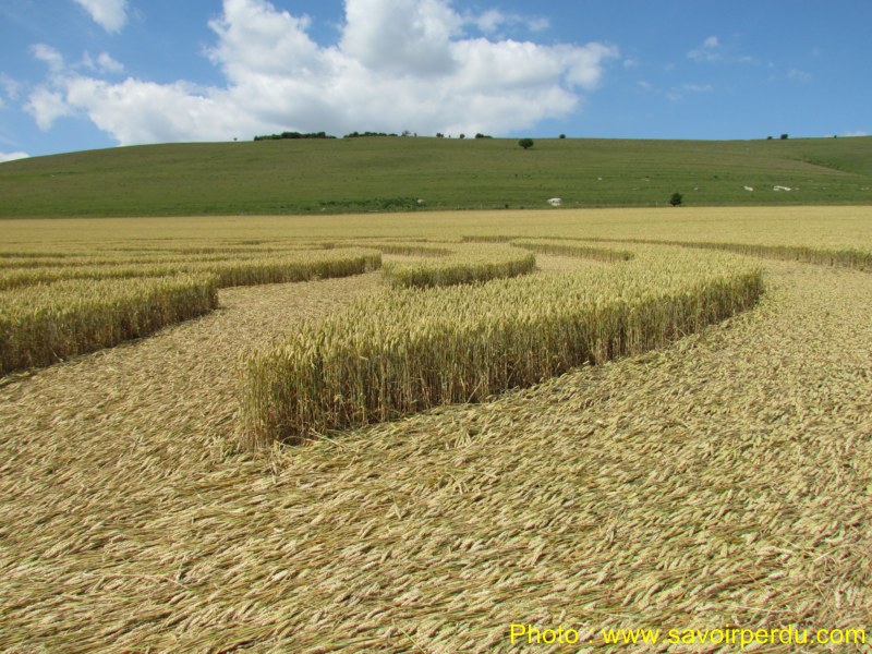 Milk Hill, Wiltshire crop circle, aerial photo 95