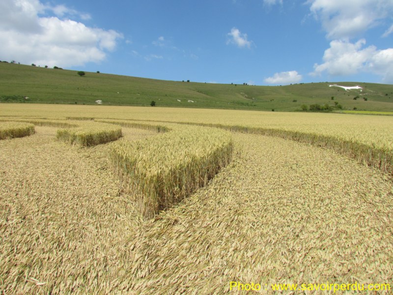 Milk Hill, Wiltshire crop circle, aerial photo 94