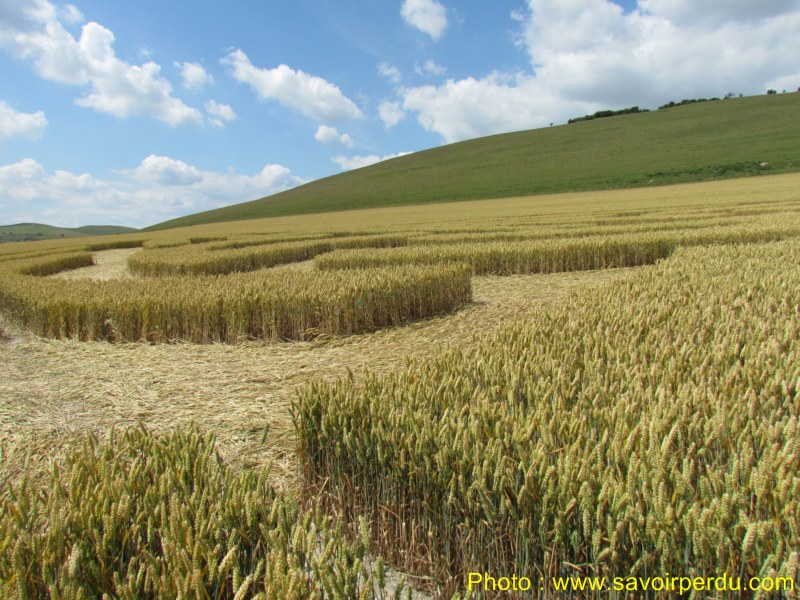 Milk Hill, Wiltshire crop circle, aerial photo 93