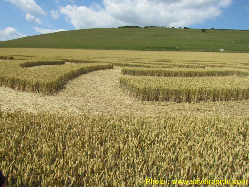 Milk Hill, Wiltshire crop circle, aerial photo 92