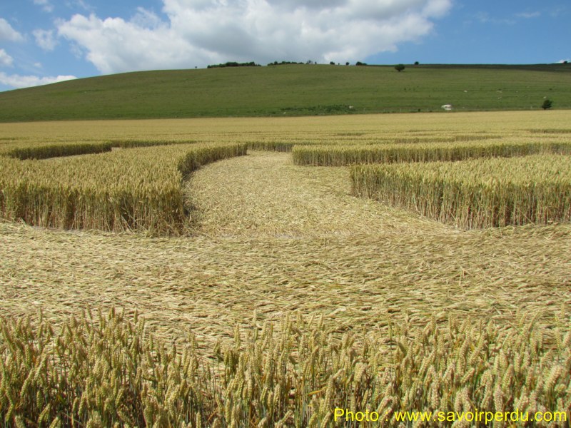 Milk Hill, Wiltshire crop circle, aerial photo 91