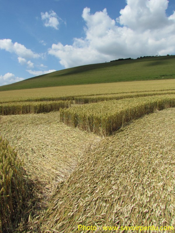 Milk Hill, Wiltshire crop circle, aerial photo 90