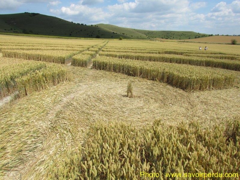 Milk Hill, Wiltshire crop circle, aerial photo 88