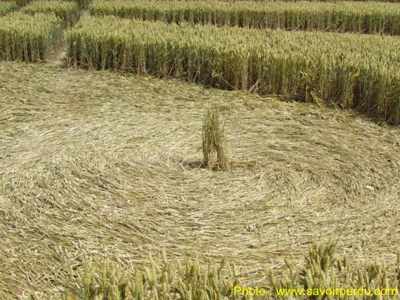Milk Hill, Wiltshire crop circle, aerial photo 87