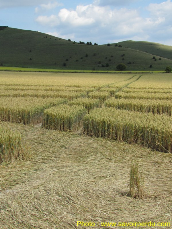 Milk Hill, Wiltshire crop circle, aerial photo 86