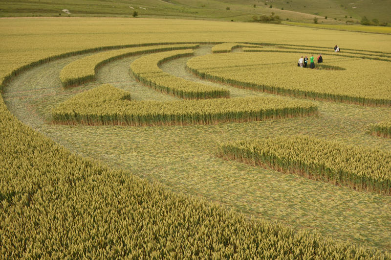 Milk Hill, Wiltshire crop circle, aerial photo 42
