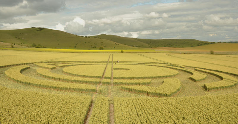 Milk Hill, Wiltshire crop circle, aerial photo 40