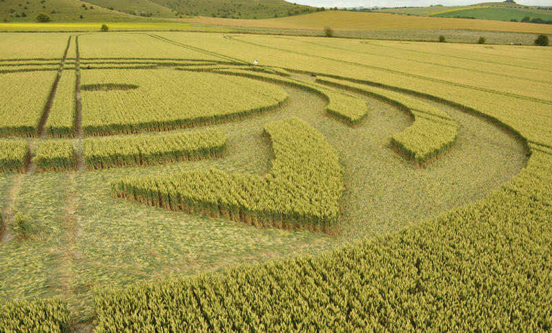 Milk Hill, Wiltshire crop circle, aerial photo 43