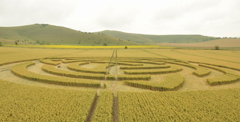 Milk Hill, Wiltshire crop circle, aerial photo 38
