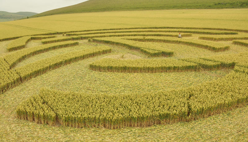 Milk Hill, Wiltshire crop circle, aerial photo 39