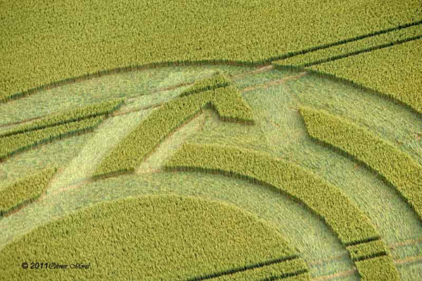 Milk Hill, Wiltshire crop circle, aerial photo 26