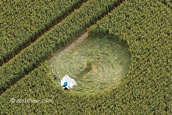 Milk Hill, Wiltshire crop circle, aerial photo 35