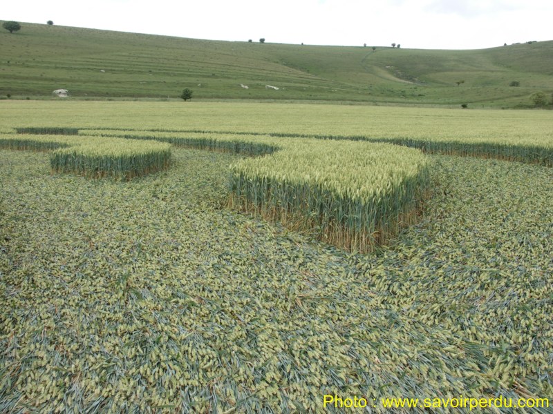Milk Hill, Wiltshire crop circle, aerial photo 83