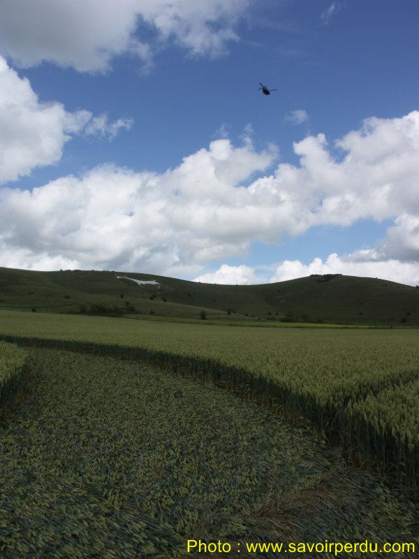 Milk Hill, Wiltshire crop circle, aerial photo 82