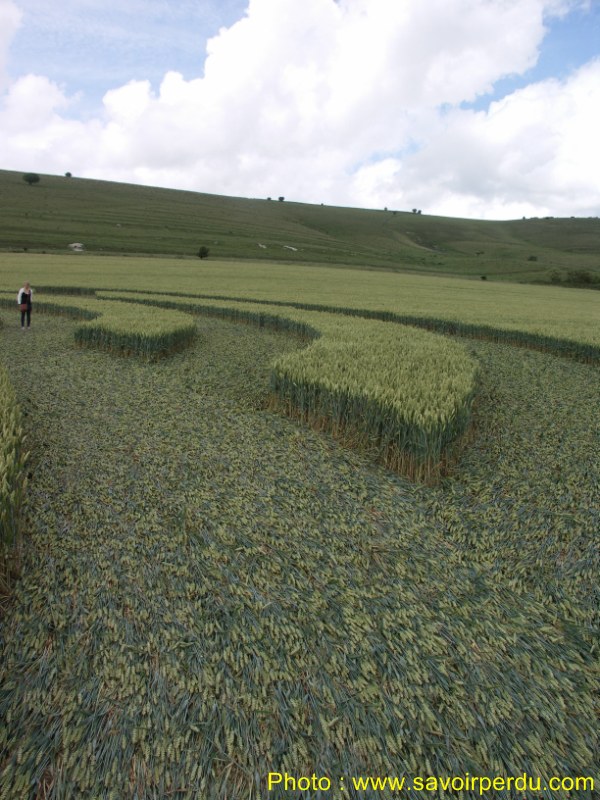 Milk Hill, Wiltshire crop circle, aerial photo 81