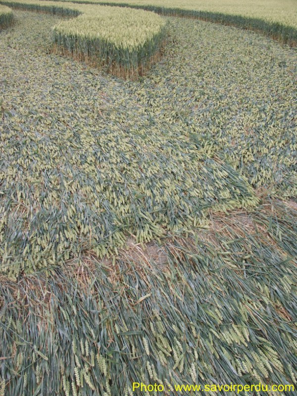 Milk Hill, Wiltshire crop circle, aerial photo 80