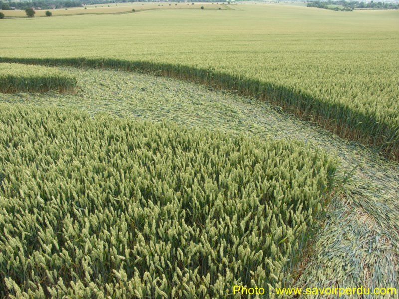 Milk Hill, Wiltshire crop circle, aerial photo 70