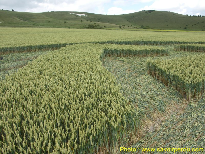 Milk Hill, Wiltshire crop circle, aerial photo 69