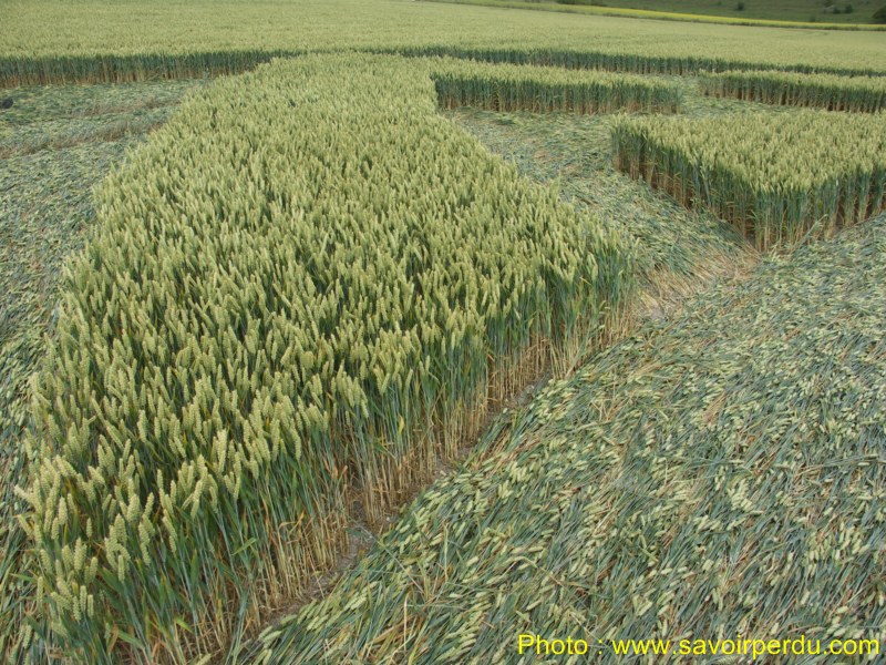 Milk Hill, Wiltshire crop circle, aerial photo 68