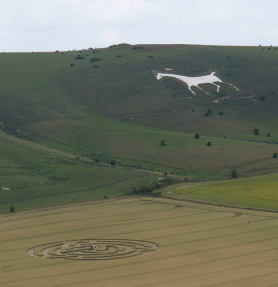 Milk Hill, Wiltshire crop circle, aerial photo 9