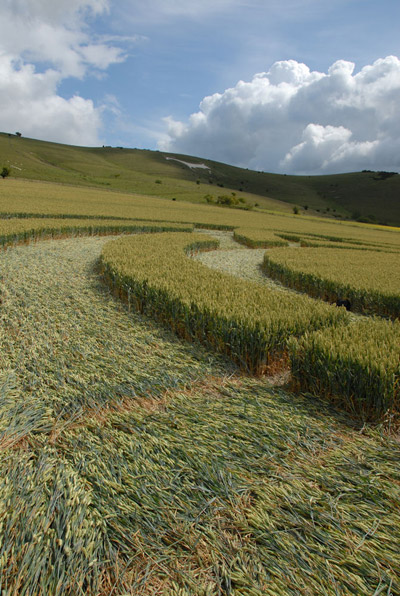Milk Hill, Wiltshire crop circle, aerial photo 55