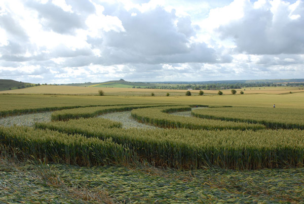 Milk Hill, Wiltshire crop circle, aerial photo 50