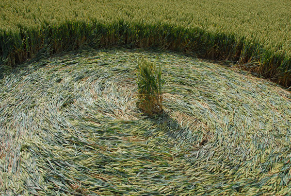 Milk Hill, Wiltshire crop circle, aerial photo 53