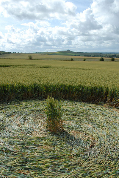 Milk Hill, Wiltshire crop circle, aerial photo 57
