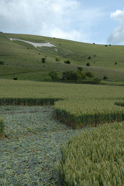 Milk Hill, Wiltshire crop circle, aerial photo 56
