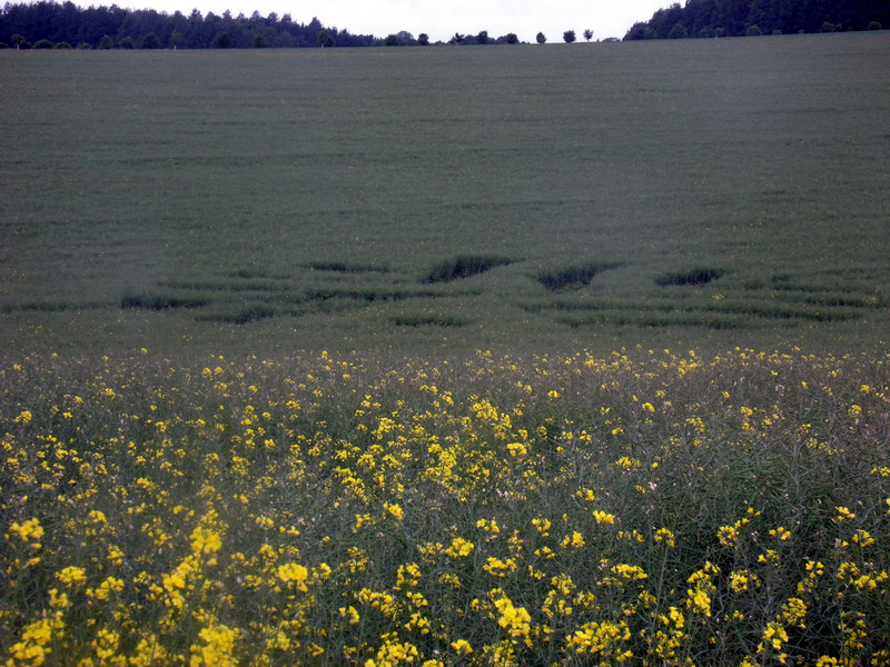 Pitt, Hampshire crop circle, aerial photo 8