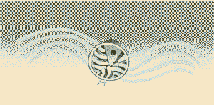 Pitt, Hampshire crop circle, aerial photo 5