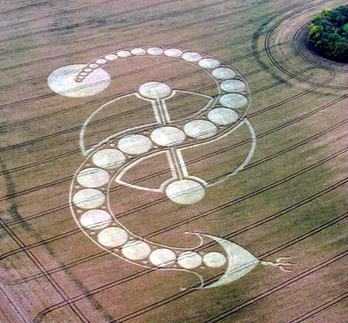 West Woodhay Down, Wiltshire crop circle, aerial photo 25