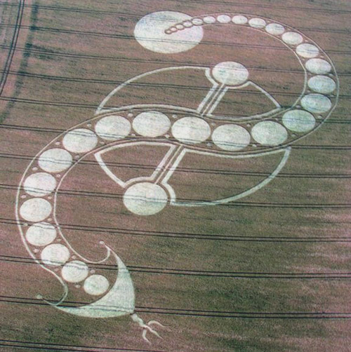 West Woodhay Down, Wiltshire crop circle, aerial photo 3