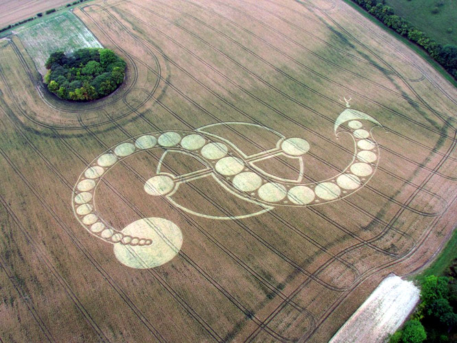 West Woodhay Down, Wiltshire crop circle, aerial photo 4