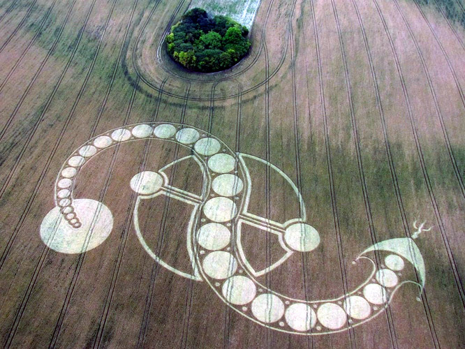 West Woodhay Down, Wiltshire crop circle, aerial photo 9