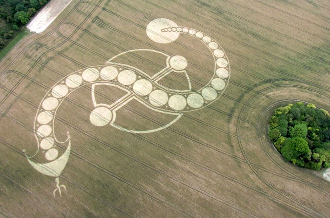 West Woodhay Down, Wiltshire crop circle, aerial photo 5