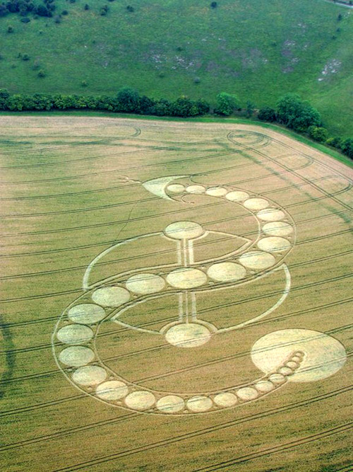 West Woodhay Down, Wiltshire crop circle, aerial photo 31