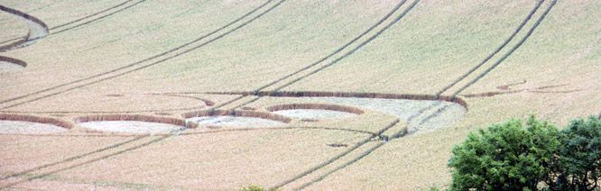 West Woodhay Down, Wiltshire crop circle, aerial photo 34