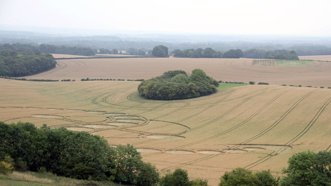 West Woodhay Down, Wiltshire crop circle, aerial photo 33
