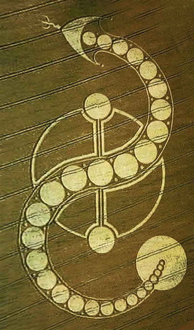West Woodhay Down, Wiltshire crop circle, aerial photo 17
