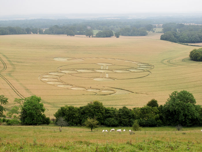 West Woodhay Down, Wiltshire crop circle, aerial photo 26