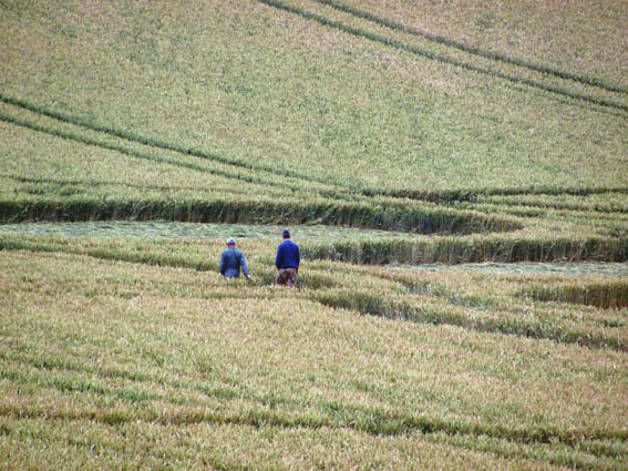 West Woodhay Down, Wiltshire crop circle, aerial photo 28