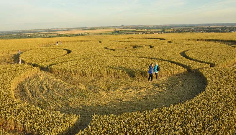 Roundway Hill, Wiltshire crop circle, aerial photo 35